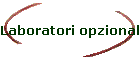 Laboratori opzionali