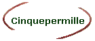 Cinquepermille